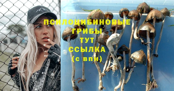 гидропоника Заволжск