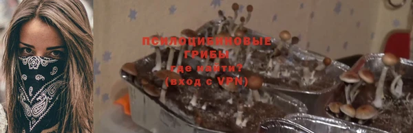 меф Елизово