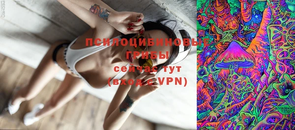 прущая мука Елабуга