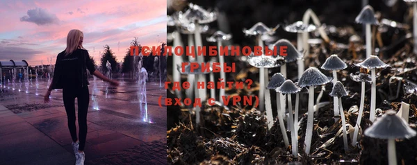 гидропоника Заволжск
