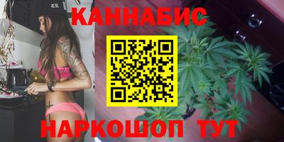 прущие грибы Заводоуковск